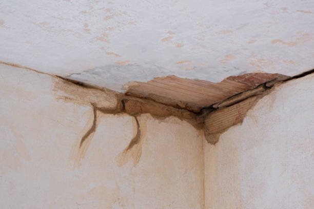  Princeton Meadows, NJ Water damage restoration Pros