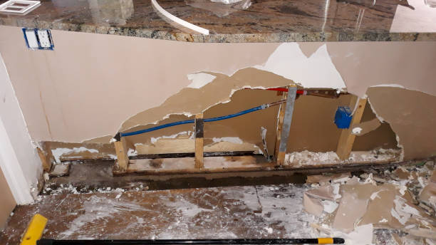 Best Basement water damage restoration  in Princeton Meadows, NJ