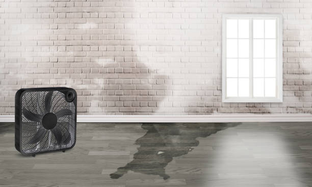 Water damage restoration insurance claims in Princeton Meadows, NJ