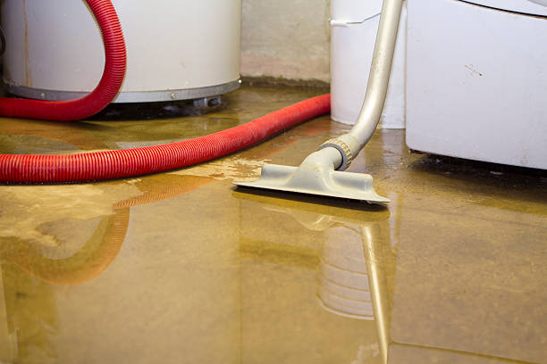 Sewage cleanup and water damage restoration in Princeton Meadows, NJ