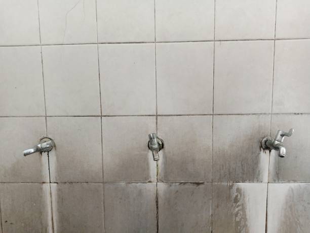 Best Water damage contractors near me  in Princeton Meadows, NJ