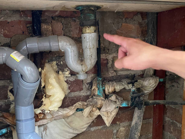 Trusted Princeton Meadows, NJ Water damage restoration Experts
